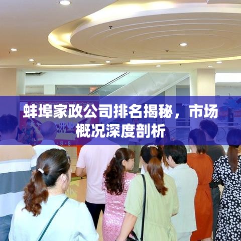 蚌埠家政公司排名揭秘，市场概况深度剖析