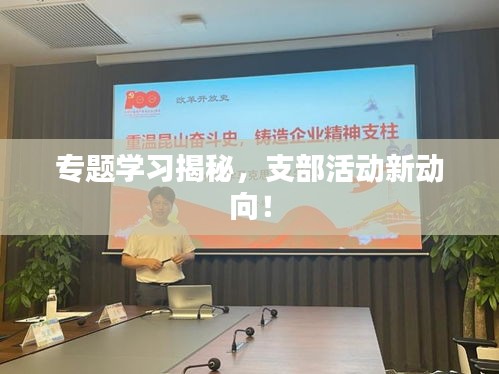 专题学习揭秘，支部活动新动向！