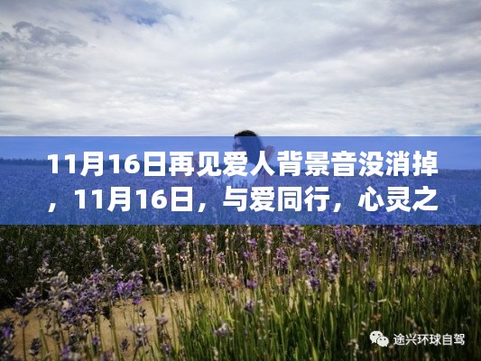 11月16日与爱同行，心灵之旅的奇妙背景音与深度对话大自然