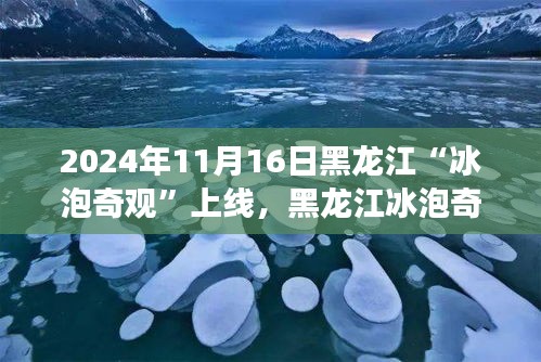 黑龙江冰泡奇观背后的励志故事，变化带来自信与成就感，见证奇迹的2024年11月16日。