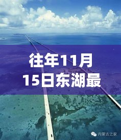 东湖奇遇，环保、友情与家庭的温馨故事（最新污染引发深思）