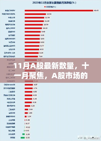 11月A股市场最新动态，数量时代下的市场聚焦