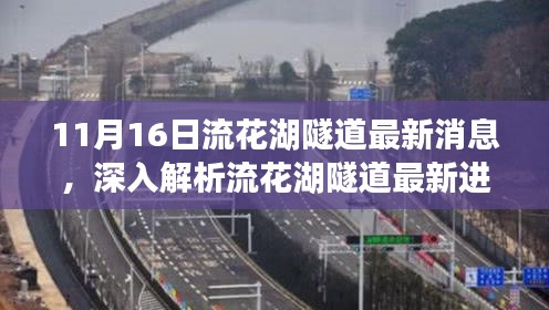 流花湖隧道最新进展深度解析，特性、体验、竞品对比及用户洞察揭秘