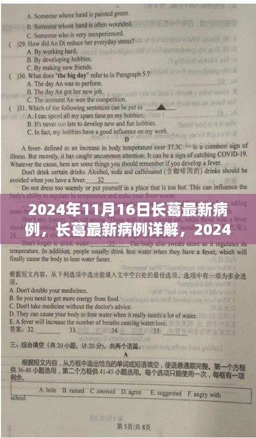 长葛市最新病例详解与应对全攻略，2024年11月16日病例处理指南