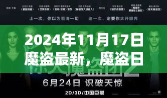 魔盗日常之爱的纽带，2024年11月17日的温馨时光