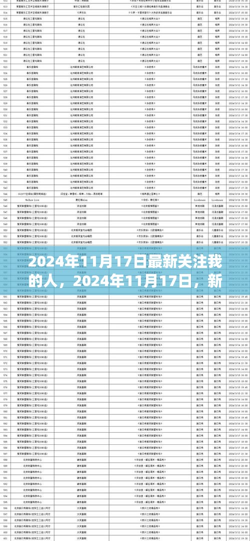 新关注者引领的自然美景心灵之旅，2024年11月17日的启示