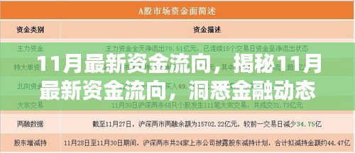 揭秘11月资金流向，洞悉金融动态，把握财富脉搏