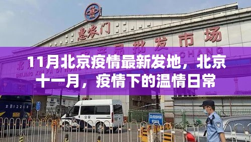 北京十一月疫情下的温情日常，最新发地情况关注