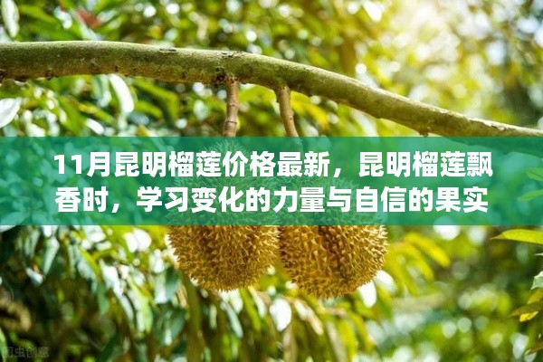 昆明榴莲最新价格揭秘，学习变化的力量与自信果实的飘香时刻