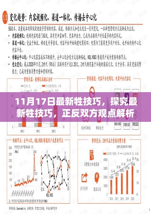 最新牲技巧深度解析，正反观点与个人立场探讨