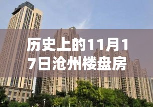 历史上的11月17日沧州楼盘房价动态，最新消息与深度解析