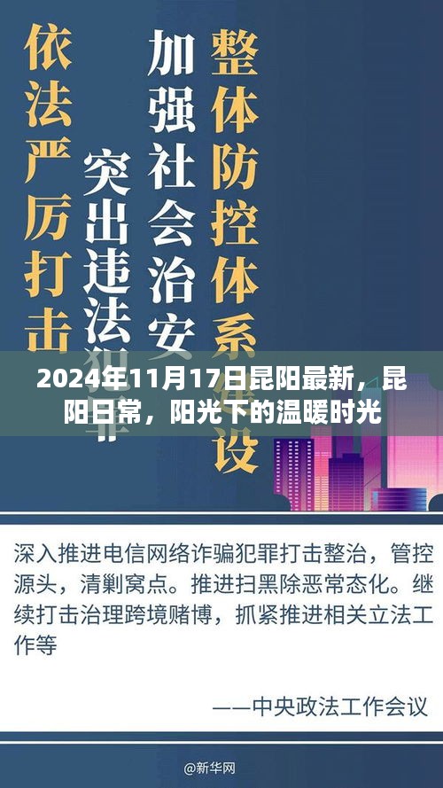 昆阳日常，阳光下的温暖时光记录（2024年11月17日）