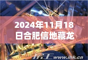 2024年合肥信地藏龙最新动态深度解析，产品特性与用户体验评测