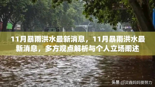 11月暴雨洪水最新动态，多方观点与个人立场解析