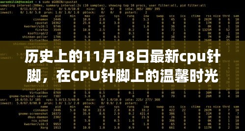 历史上的11月18日，CPU针脚上的温馨时光与最新发展回顾