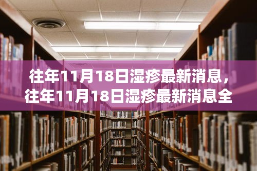 往年11月18日湿疹最新消息全面解析，特性、体验、竞品对比及用户分析