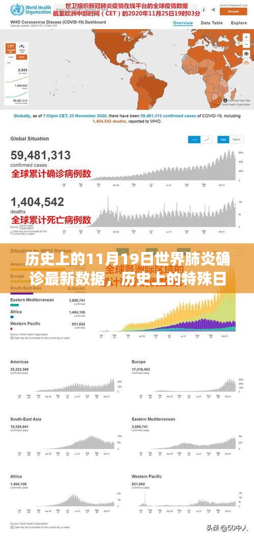 全球肺炎疫情在特殊日期下的最新数据及其深远影响，历史视角下的11月19日回顾与启示