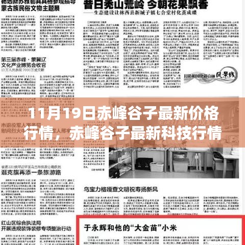 赤峰谷子最新行情与科技前沿，智能谷价指数系统引领未来体验科技魅力！