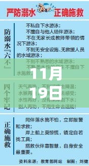 2024年11月19日 第5页