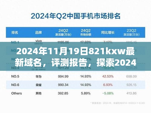 2024年11月19日最新域名821kxw全面解析与用户体验评测报告