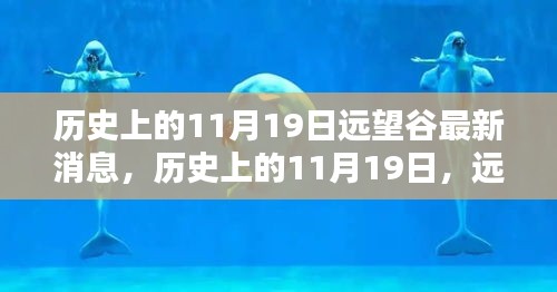 历史上的11月19日远望谷最新消息，激发励志力量，共同前行！