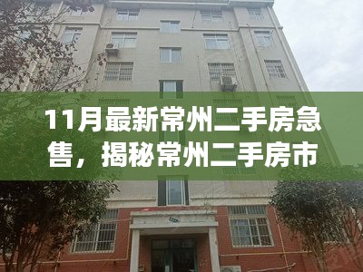 揭秘常州二手房市场，独家好房推荐与小巷深处的惊喜宝藏（11月最新常州二手房急售）