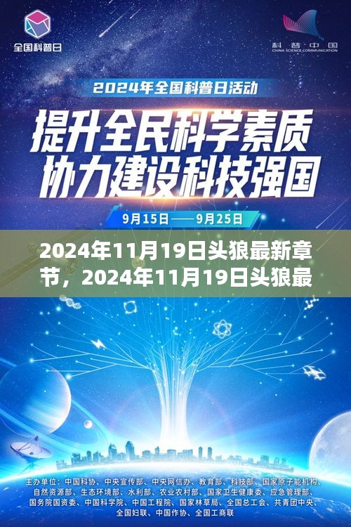 2024年11月19日头狼最新章节揭秘，热血与智慧的碰撞