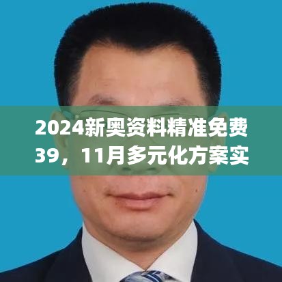 2024新奥资料精准免费39，11月多元化方案实施策略_ALM7.56.53收藏版