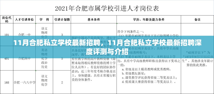 11月合肥私立学校最新招聘深度解析与介绍