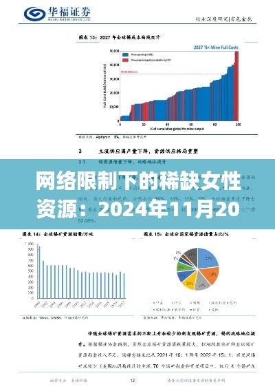 网络限制下的稀缺女性资源：2024年11月20日创新方法解析_CMG3.10.84定制版