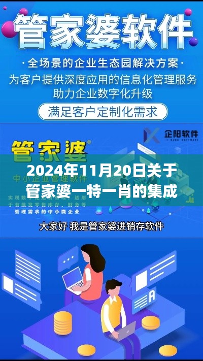 2024年11月20日关于管家婆一特一肖的集成系统实施讨论_STH5.39.88投资版