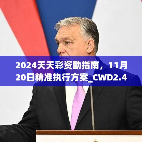 2024天天彩资助指南，11月20日精准执行方案_CWD2.47.80高效版