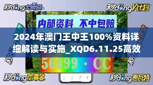 2024年澳门王中王100%资料详细解读与实施_XQD6.11.25高效版