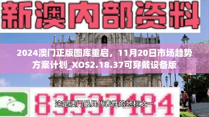 2024澳门正版图库重启，11月20日市场趋势方案计划_XOS2.18.37可穿戴设备版