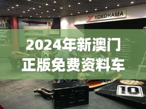 2024年新澳门正版免费资料车：11月策略执行的深度解析_LVE2.13.63美学版