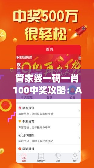 管家婆一码一肖100中奖攻略：ACM9.51.92装饰版的快速解决方案解析