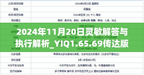 2024年11月20日灵敏解答与执行解析_YIQ1.65.69传达版