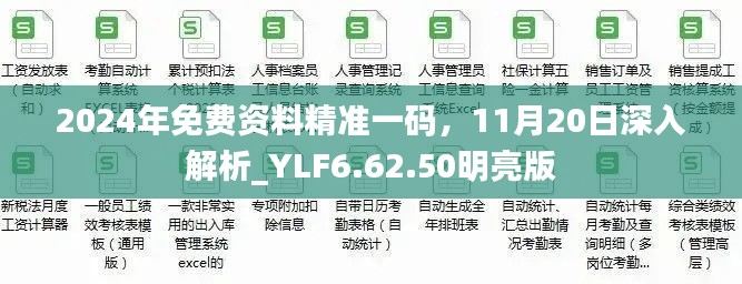 2024年免费资料精准一码，11月20日深入解析_YLF6.62.50明亮版