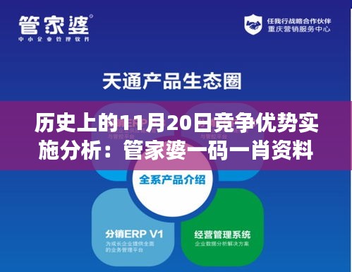 历史上的11月20日竞争优势实施分析：管家婆一码一肖资料的OWU6.53.99版本