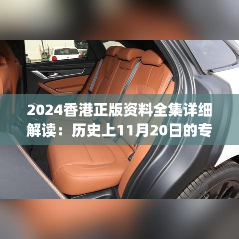 2024香港正版资料全集详细解读：历史上11月20日的专家见解_BVF2.45.68版本