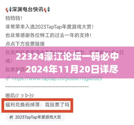 22324濠江论坛一码必中，2024年11月20日详尽评估与现象解读_RAG6.78.49珍稀版