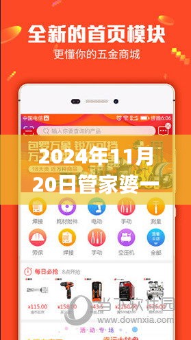 2024年11月20日管家婆一码一肖100%精准解读与实施_EIP5.43.61硬件版