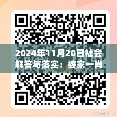 2024年11月20日社会解答与落实：婆家一肖一码100 - YHG4.33.48先锋版