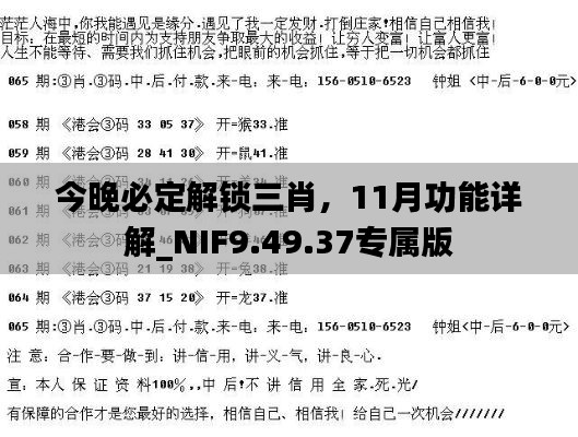 今晚必定解锁三肖，11月功能详解_NIF9.49.37专属版