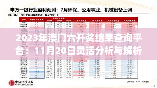 2023年澳门六开奖结果查询平台：11月20日灵活分析与解析说明_WKR3.55.92启动版