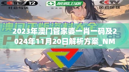 2023年澳门管家婆一肖一码及2024年11月20日解析方案_NMR5.27.80高清版