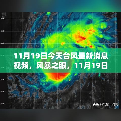 11月19日台风最新动态及深度解析，风暴之眼视频报告