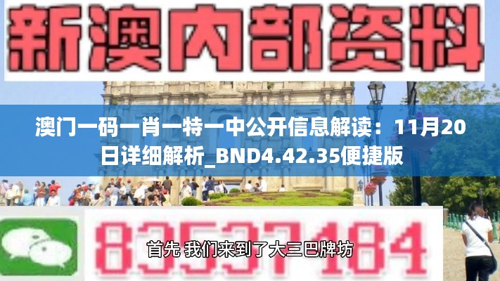 澳门一码一肖一特一中公开信息解读：11月20日详细解析_BND4.42.35便捷版