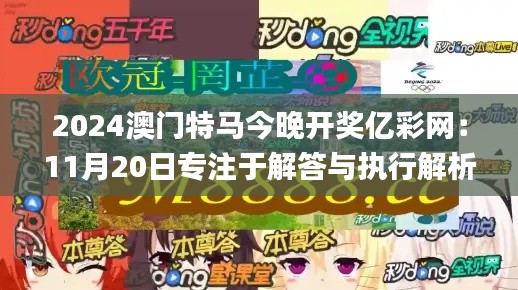 2024年11月20日 第53页