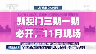 新澳门三期一期必开，11月现场设计验证计划_USC3.79.22灵动版